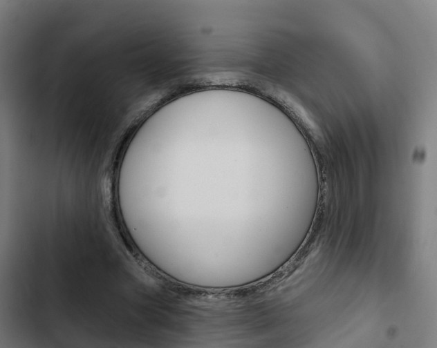X0000103420537200809121014
