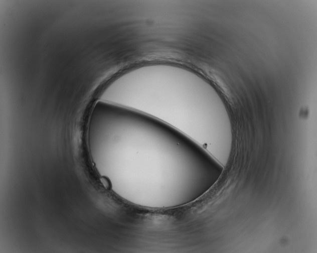 X0000103420539200809121014