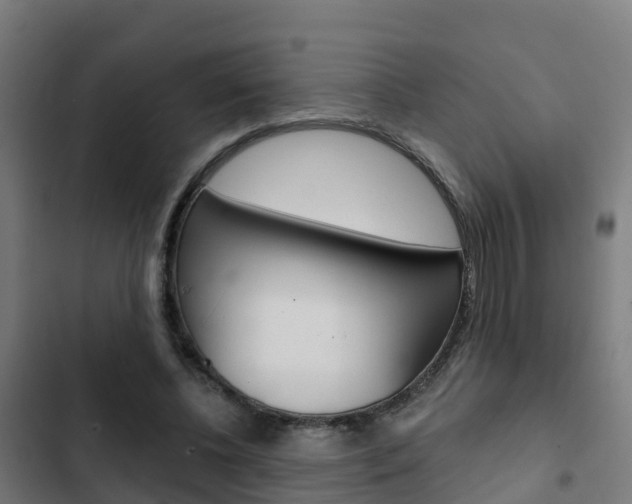 X0000103420540200809121014