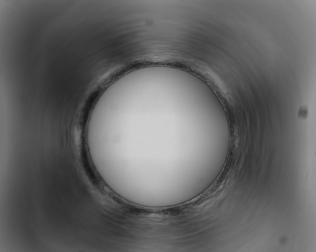 X0000103420542200809121014