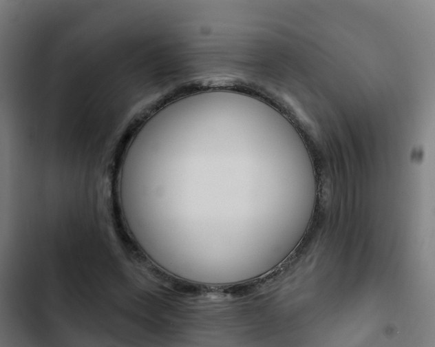 X0000103420543200809121014