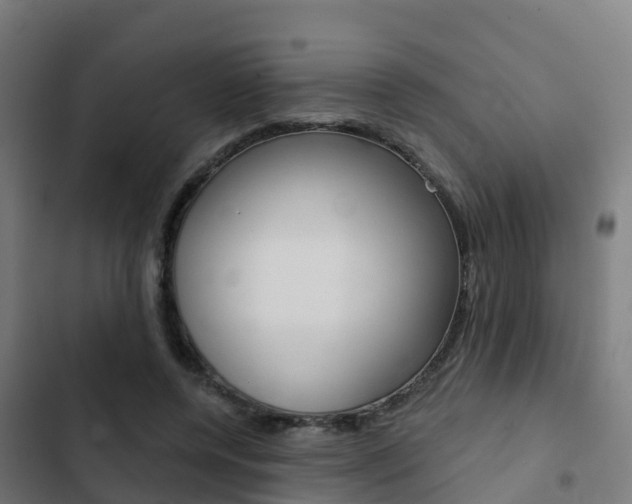 X0000103420544200809121014