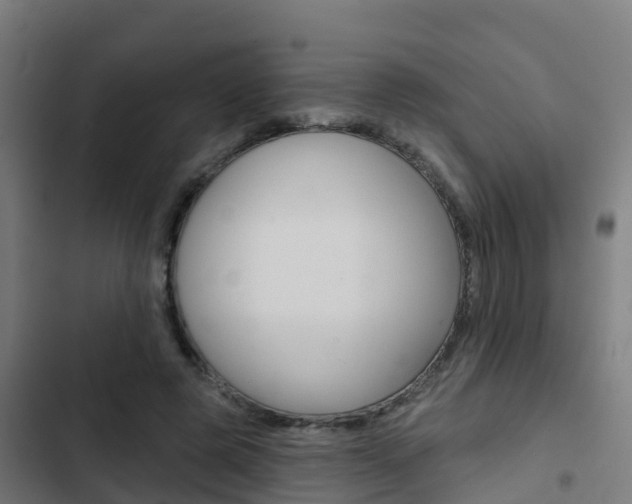 X0000103420545200809121014