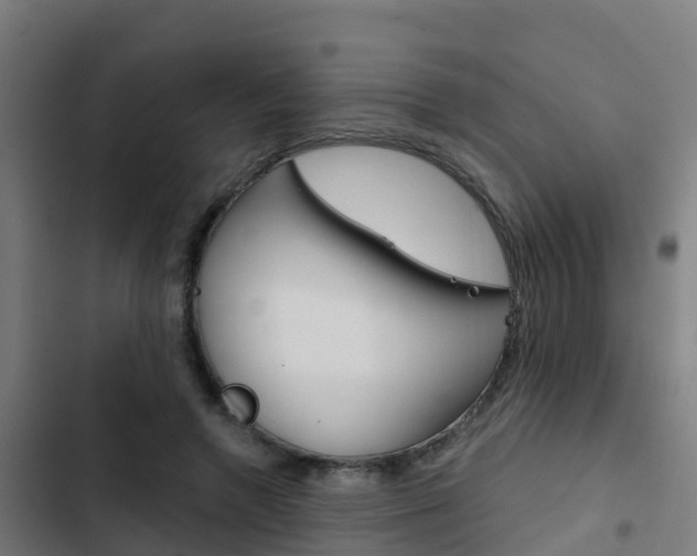 X0000103420546200809121015