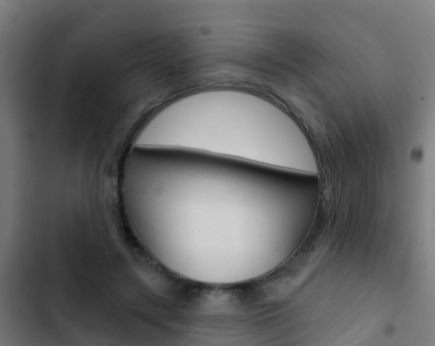 X0000103420547200809121015