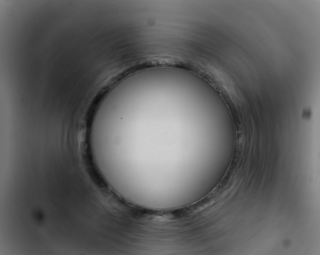 X0000103420548200809121015