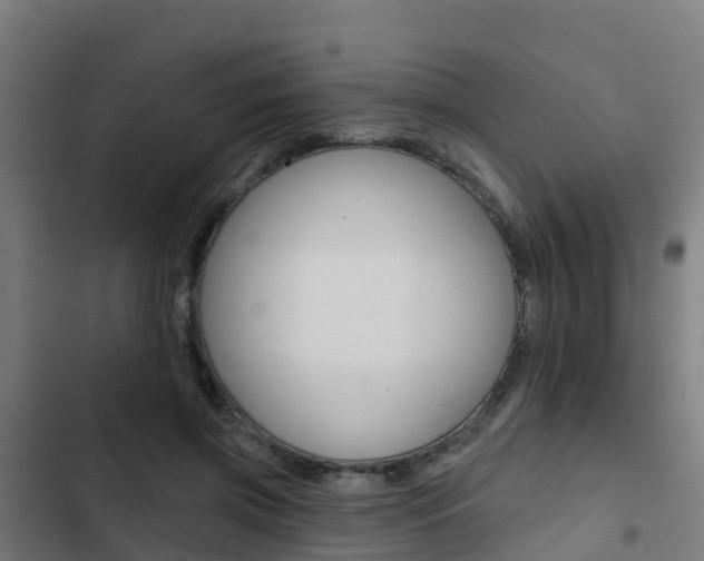 X0000103420549200809121015