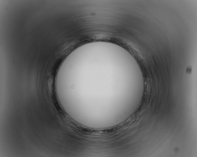 X0000103420550200809121015