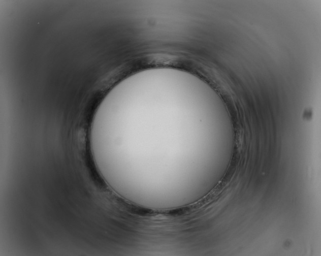 X0000103420551200809121015