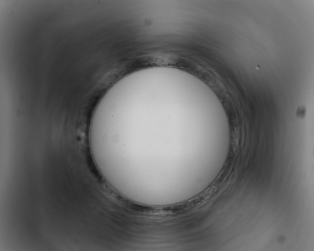 X0000103420553200809121015