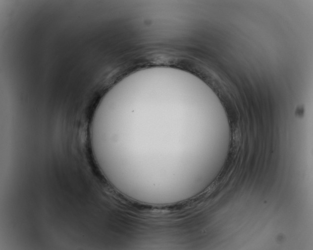 X0000103420554200809121015