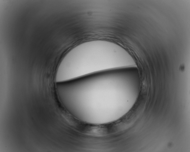 X0000103420555200809121015