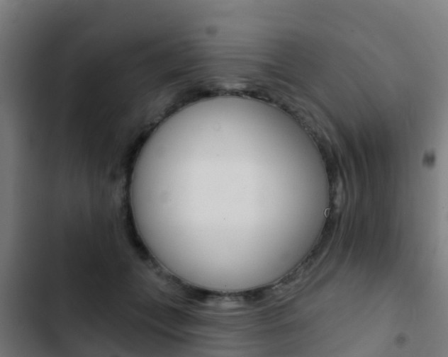 X0000103420559200809121015