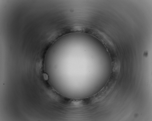 X0000103420560200809121015