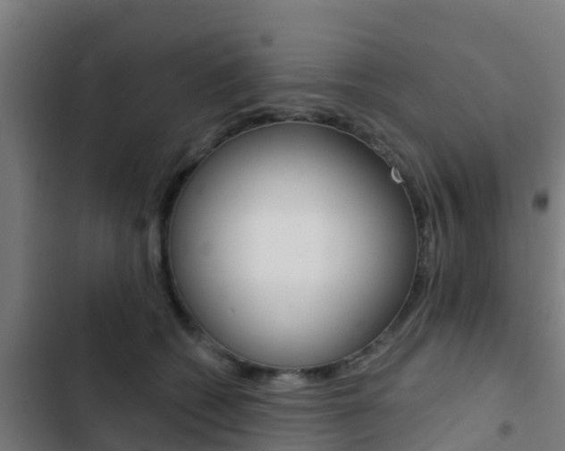 X0000103420562200809121015