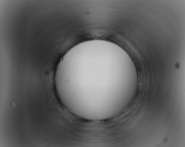 X0000103420563200809121015