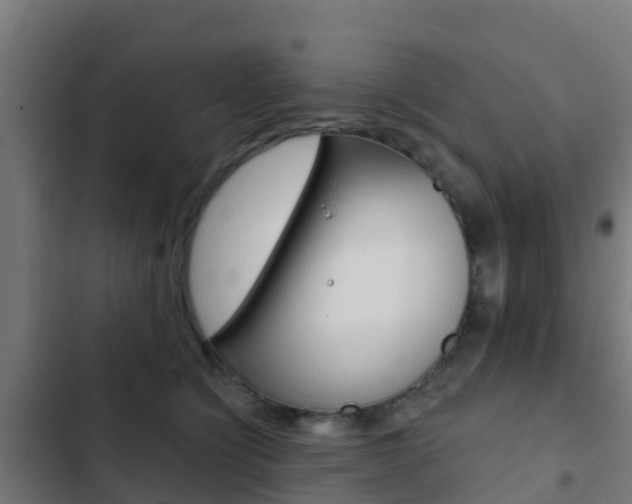 X0000103420564200809121015