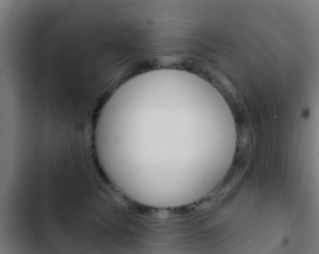 X0000103420565200809121015