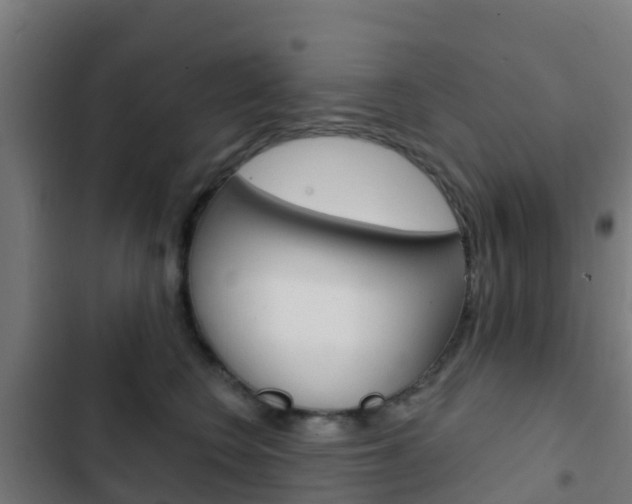 X0000103420566200809121015