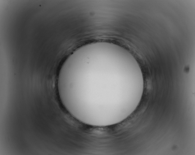 X0000103420567200809121015