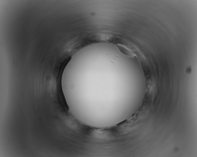 X0000103420568200809121015