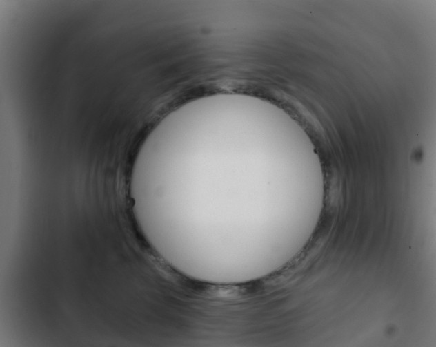 X0000103420569200809121015