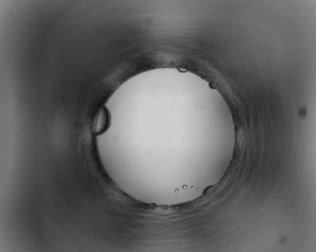 X0000103420570200809121015