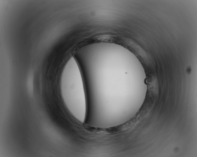X0000103420572200809121015