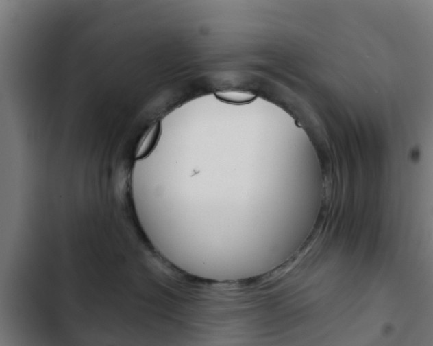 X0000103420574200809121015