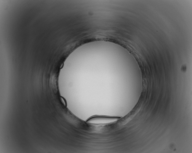 X0000103420575200809121015