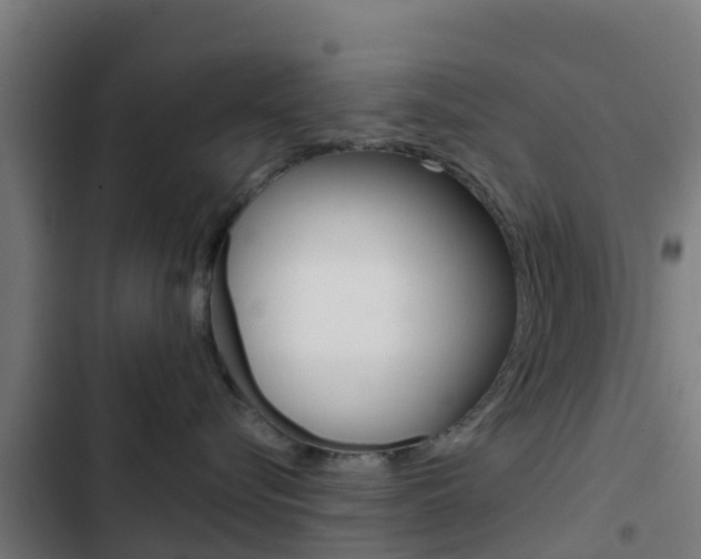 X0000103420576200809121015