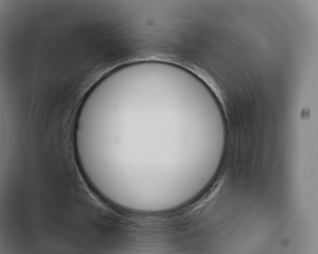 X0000103420577200809121014