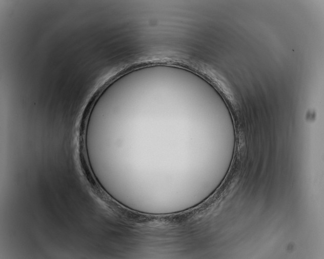 X0000103420578200809121014