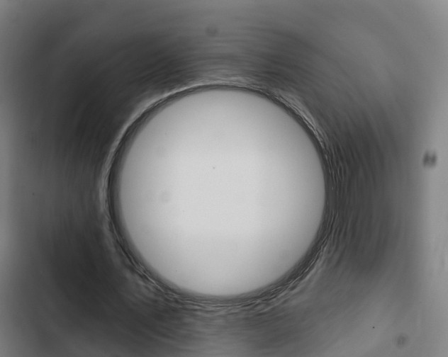 X0000103420579200809121014