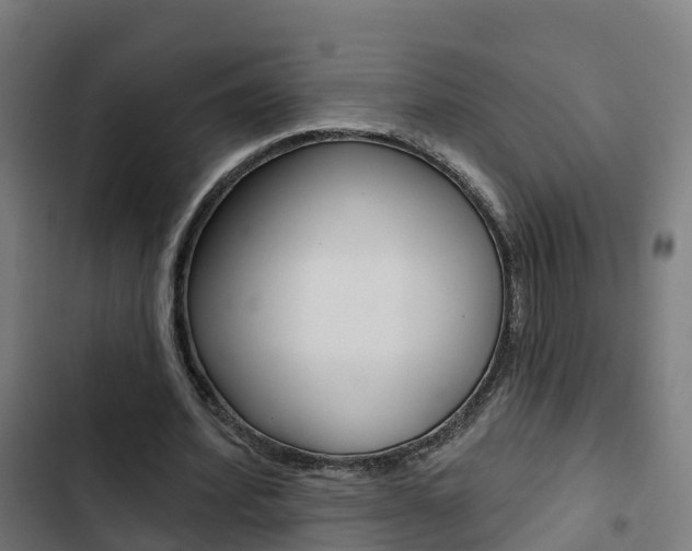X0000103420580200809121014