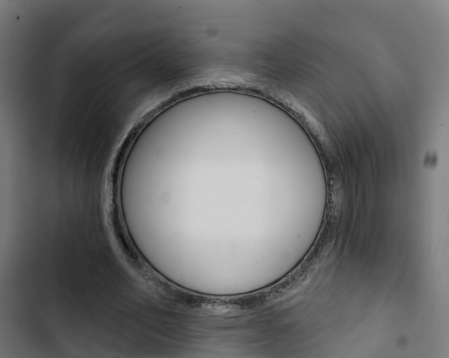 X0000103420582200809121014