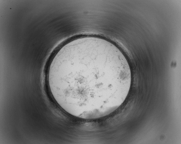 X0000103420584200809121014