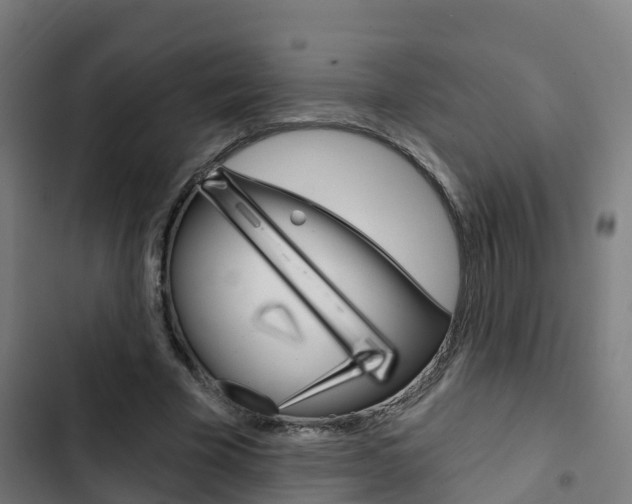 X0000103420585200809121014