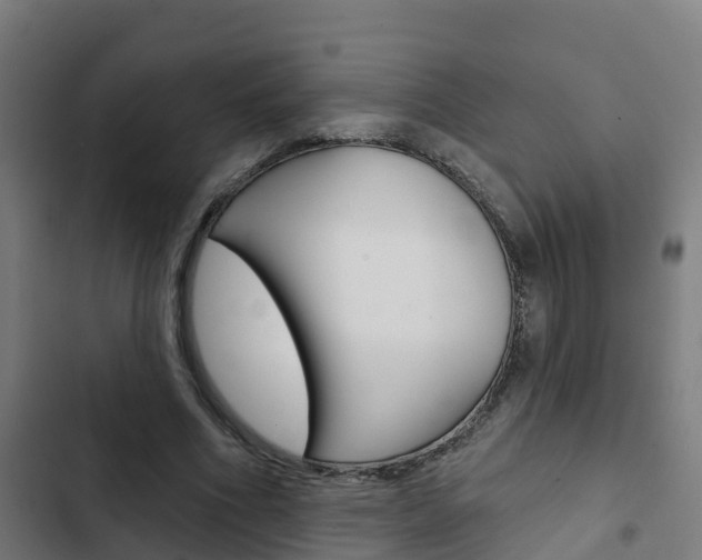 X0000103420586200809121014