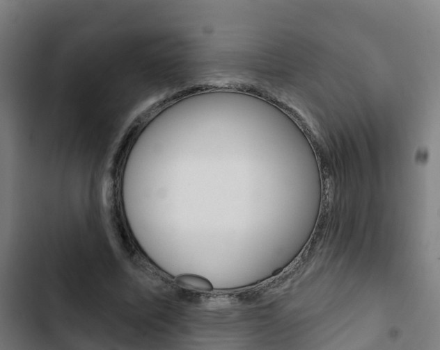 X0000103420587200809121014
