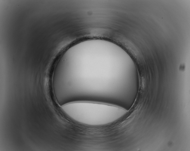 X0000103420588200809121014