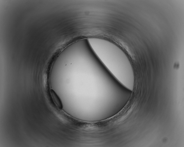 X0000103420589200809121014