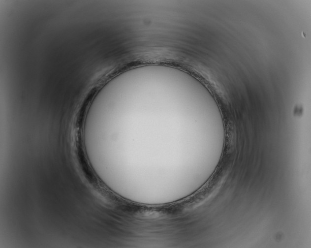 X0000103420590200809121014