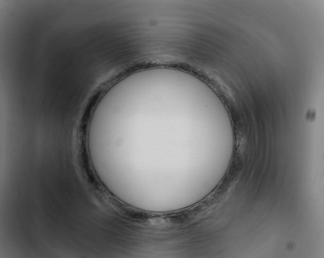 X0000103420591200809121014