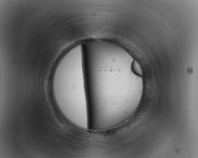 X0000103420592200809121014