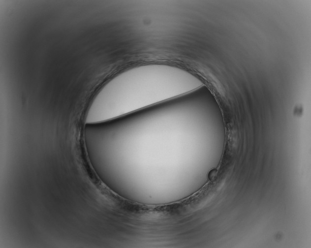X0000103420593200809121014