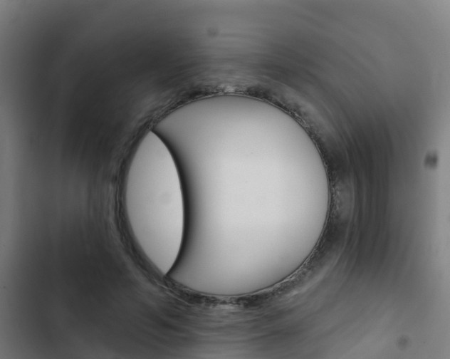 X0000103420594200809121014
