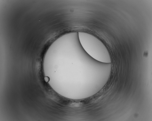 X0000103420595200809121014