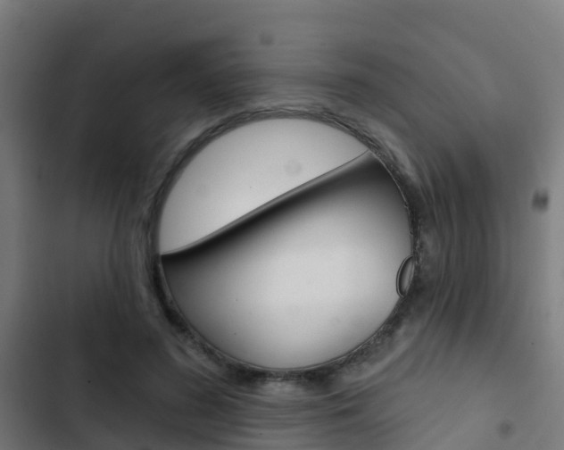 X0000103420596200809121014