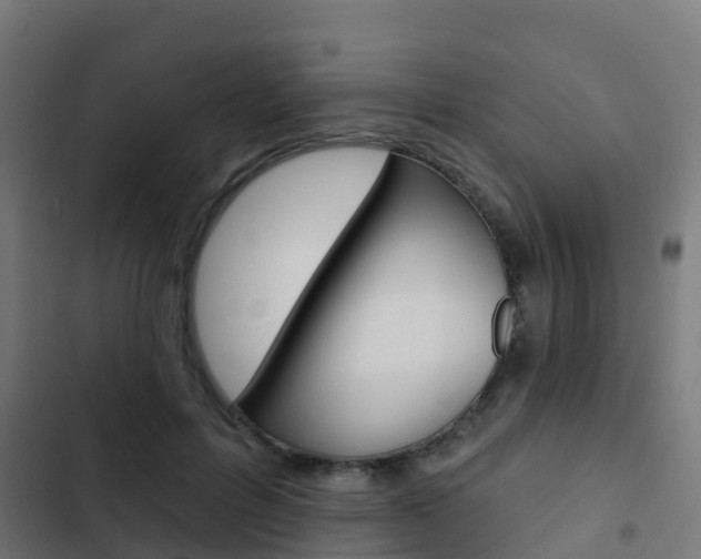 X0000103420600200809121014